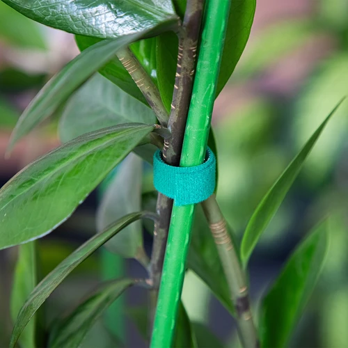 Vrtni trak na ježka, zelen, 15 mm x 5 m - 4