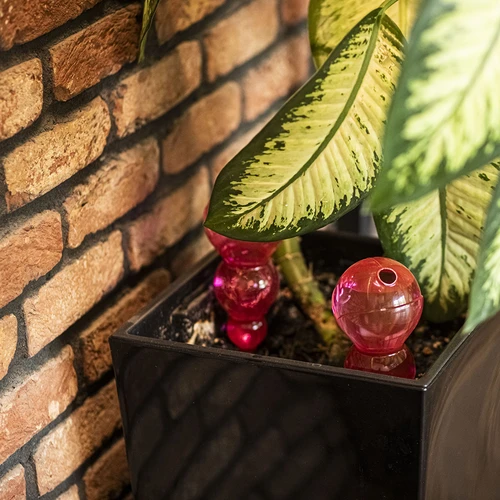 Zalivalna krogla trojna (trokamerna), prozorno rožnata, 600 ml - 8