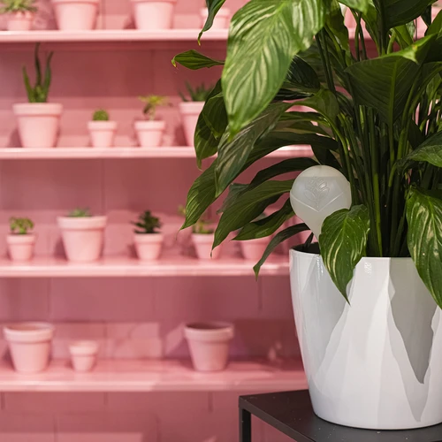 Zalivalna krogla za rastline, bela mat s keramično konico, 400 ml - 10