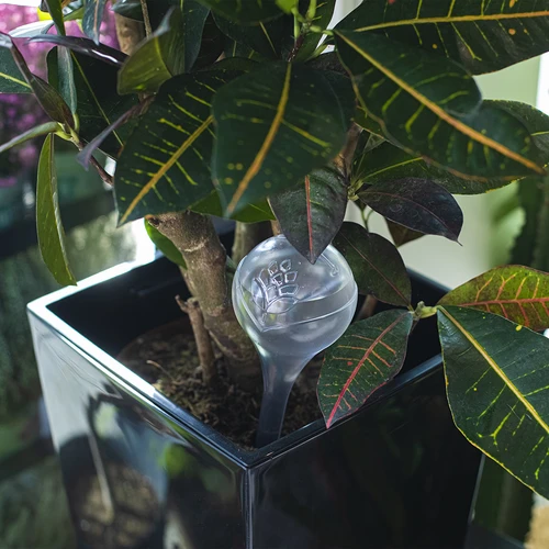 Zalivalne krogle, prozorne, 400 ml, 4 kosi - 9