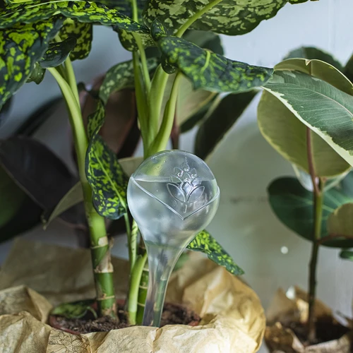 Zalivalne krogle, prozorne, 400 ml, 4 kosi - 10