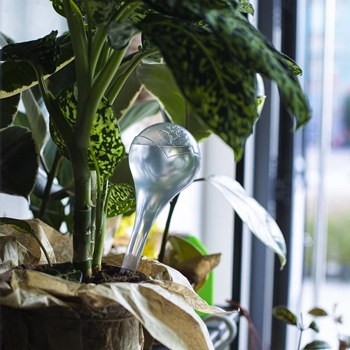 Zalivalne krogle, prozorne, 400 ml, 4 kosi - 11