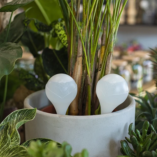 Zalivalne krogle za rastline, bele polprozorne, 400 ml, 4 kosi. - 8