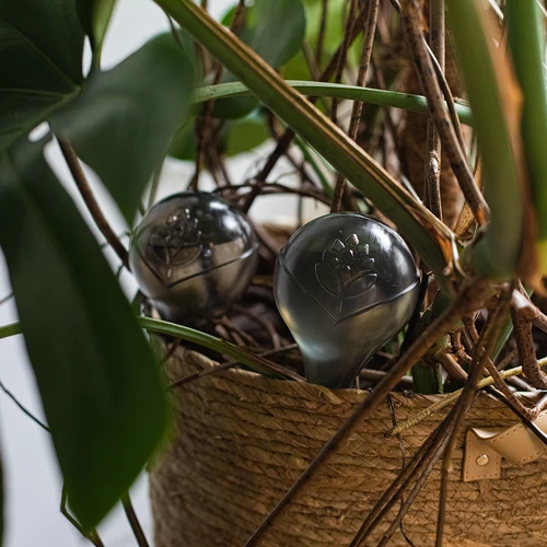 Zalivalne krogle za rastline, črne prozorne, 400 ml, 4 kosi. - 13