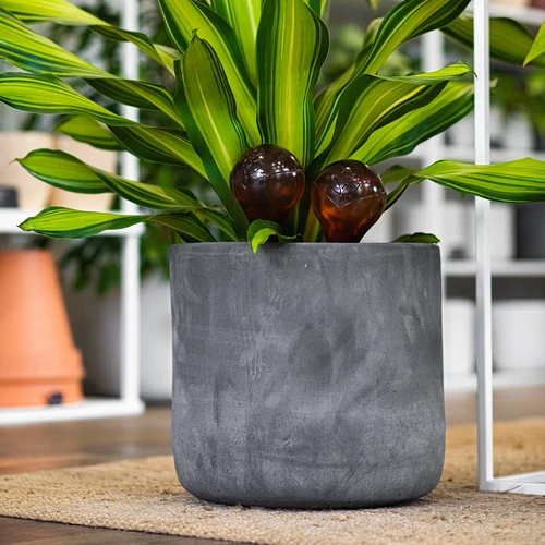 Zalivalne krogle za rastline, jantarno prozorne, 400 ml, 4 kosi. - 12