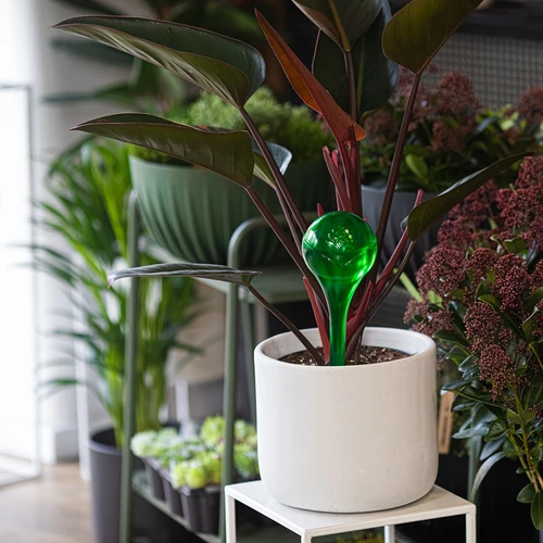 Zalivalne krogle za rastline, zelene prozorne, 400 ml, 4 kos. - 9