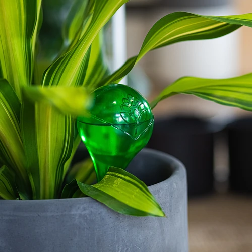 Zalivalne krogle za rastline, zelene prozorne, 400 ml, 4 kos. - 10