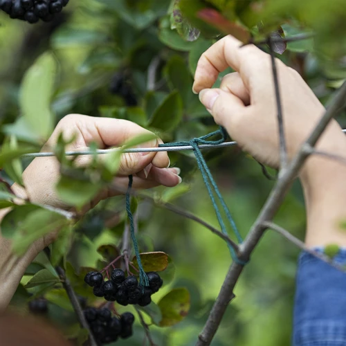 Zelena bombažna vrvica 2 mm/55 m/100 g - 7