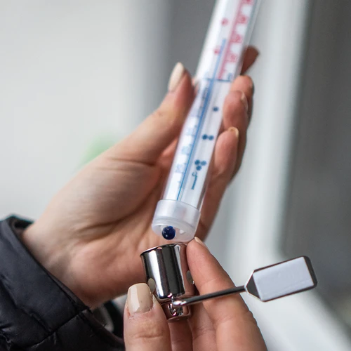 Zunanji termometer s kovinskim ohišjem (od -50 °C do +50 °C) 20 cm - 4