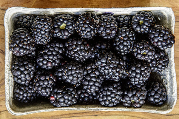 Domače polsladko robidovo vino