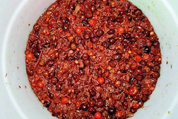 Domače višnjevo-kosmuljino vino