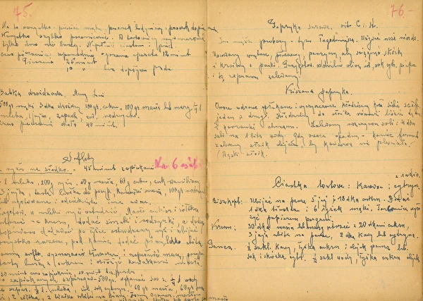 Epizoda 2: Kisana paprika z hrastovimi listi