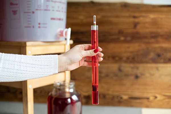 Kako narediti vino korak za korakom?