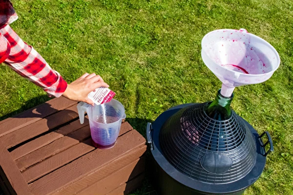 Kako narediti vino korak za korakom?