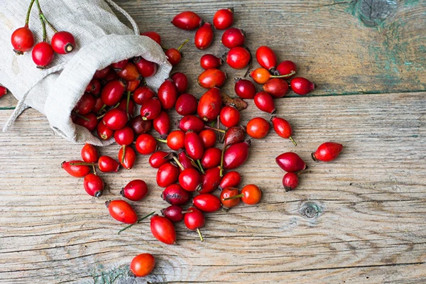 Vino iz plodov šipka z medom