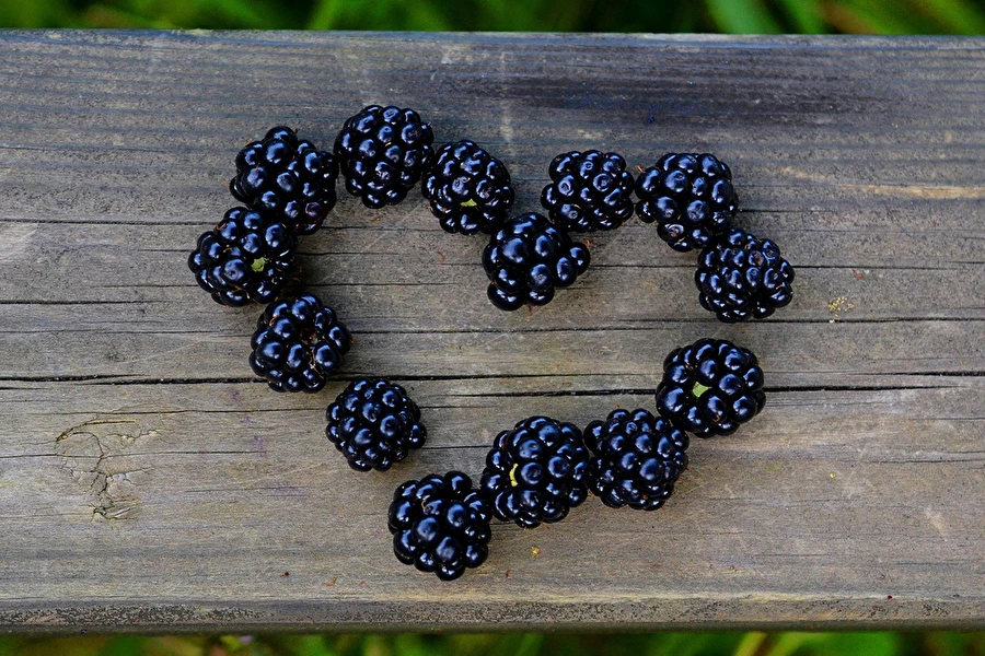 Browin Przepiśnik - Domač robidov liker