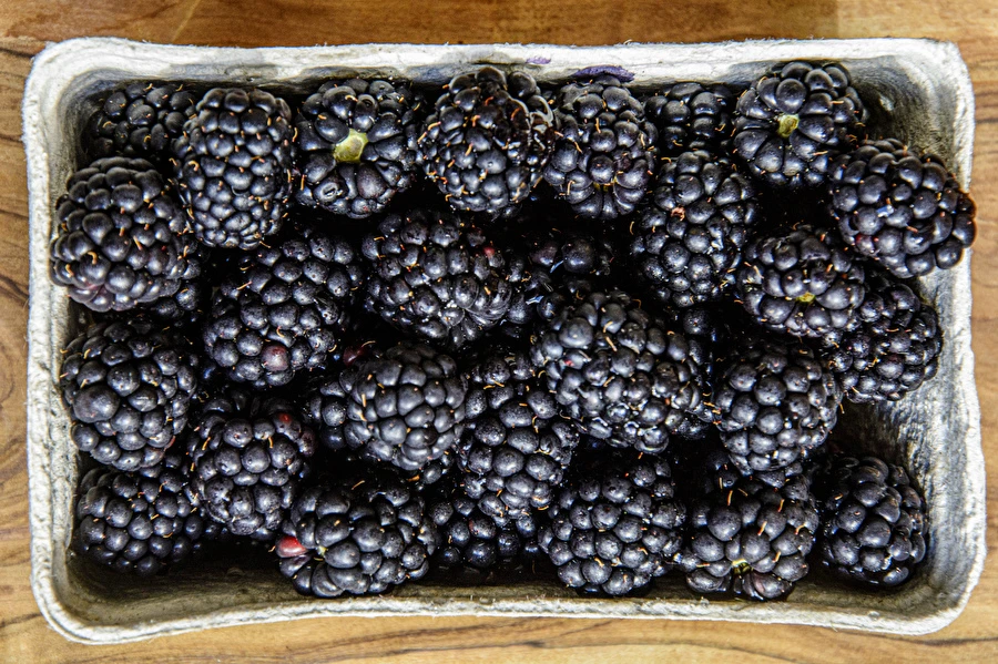 Browin Przepiśnik - Domače polsladko robidovo vino
