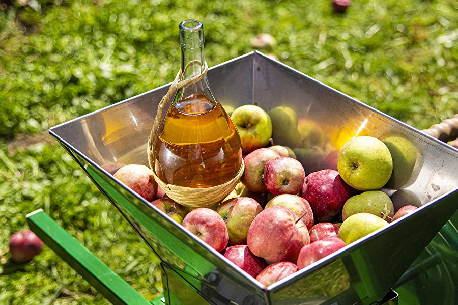 Browin Przepiśnik - Domači cider