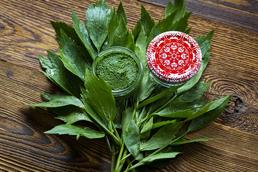 Pasta iz luštreka — domača začimba MAGGI