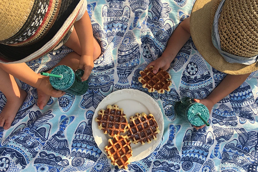 Browin Przepiśnik - Slastni kvasni vaflji